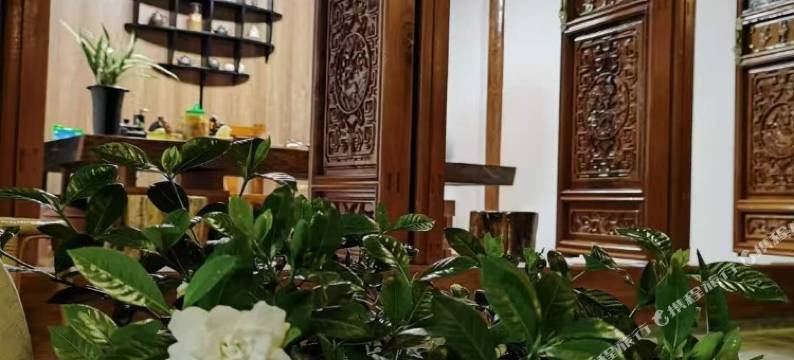 文山比邻拾光民宿图片