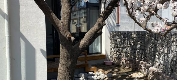 三生有杏民宿(宝泉景区店)图片