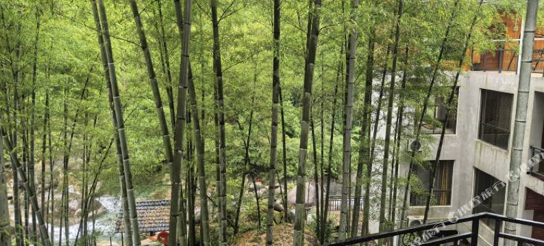 S湾山庄民宿图片