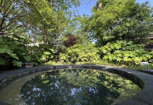 Baoshan Hotspring Hotel Hotel Overview