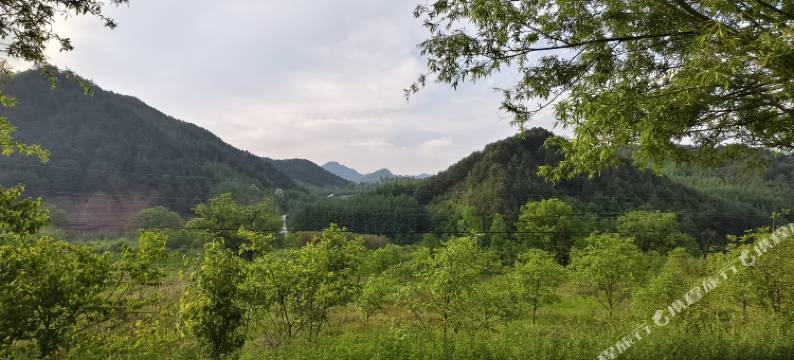 麦积山逸居民宿图片