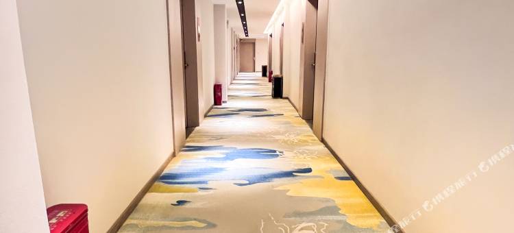 左贡悦豪洲际酒店图片