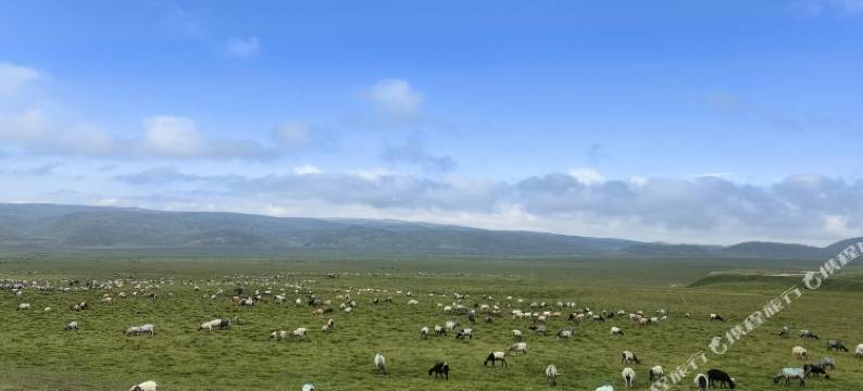 扎西德勒民宿(青海湖二郎剑景区店)图片