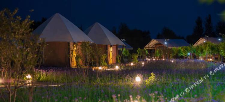 大漠花海酒店图片