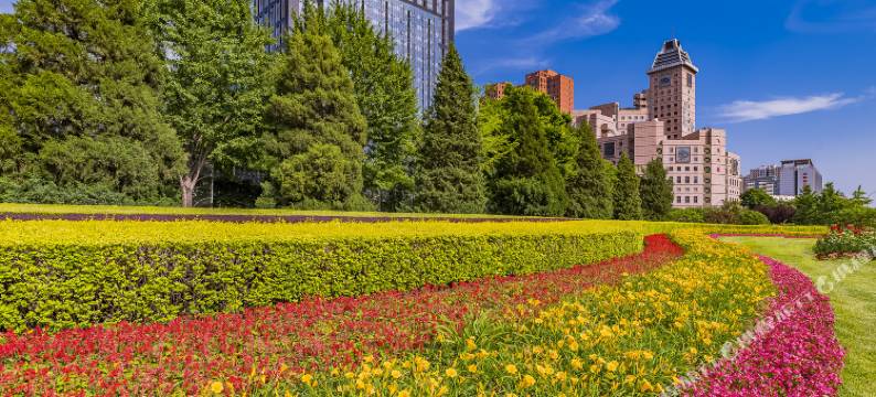 北京飞天大厦图片