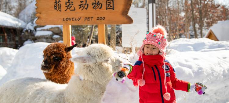 长白山温泉皇冠假日酒店图片