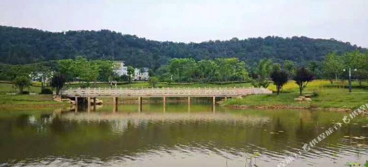 IU酒店(淄博高铁站吾悦广场店)图片