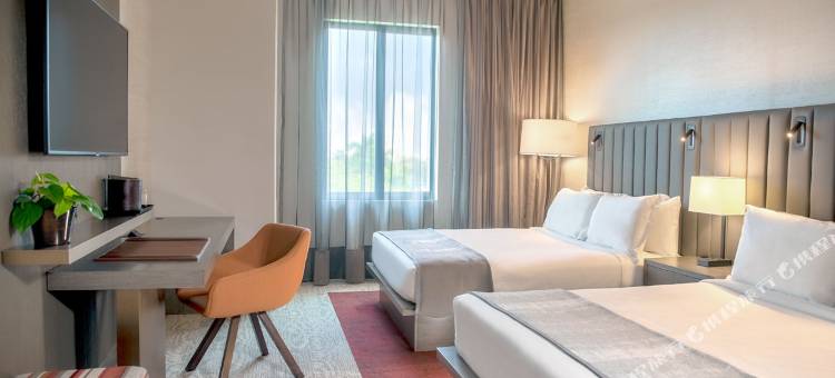 THesis 酒店迈阿密珊瑚阁，希尔顿好奇精选系列(THesis Hotel Miami Coral Gables, Curio Collection by Hilton)图片