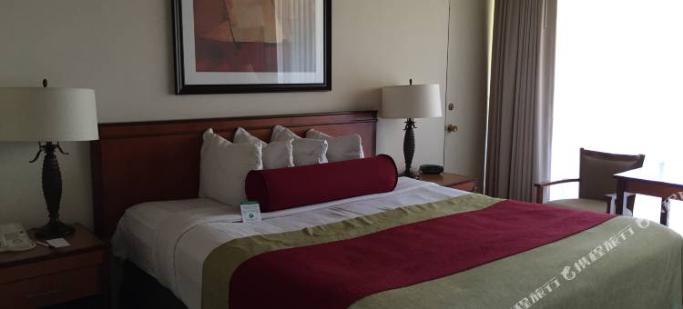 米卡多酒店(Mikado Hotel)图片