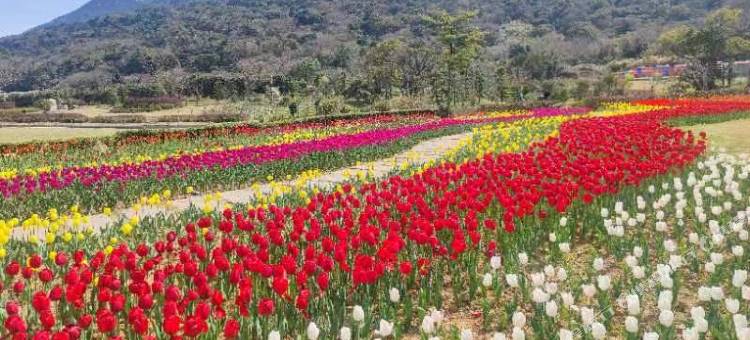 舟山市朱家尖筱家民宿图片