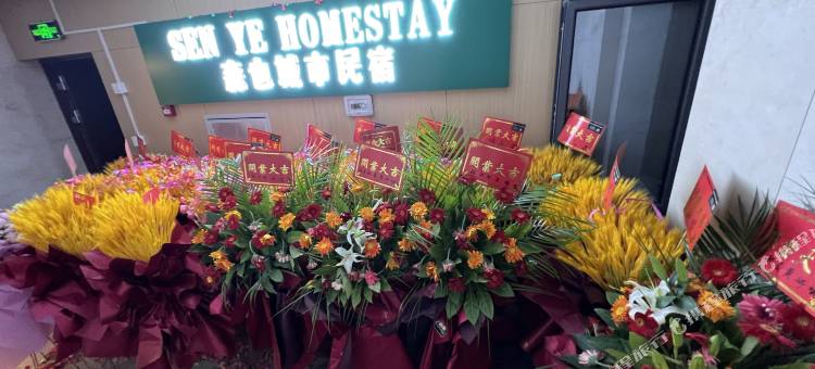 森也 HOMESTAY图片