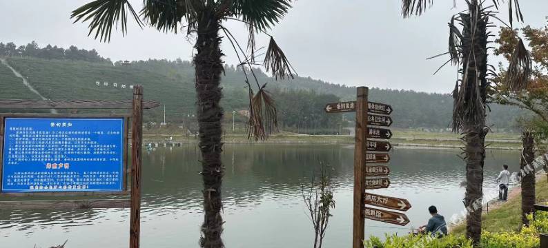 南京花美时酒店图片