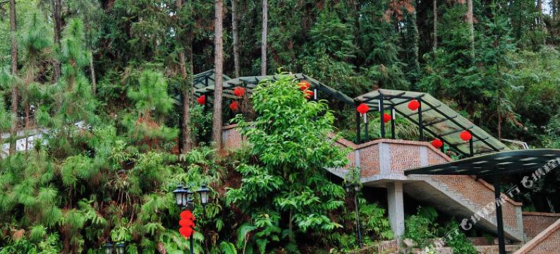 新丰松景温泉避暑山庄图片