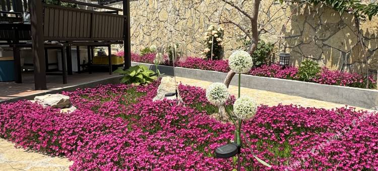 花筑·泰山橡薇民宿(红门登山口店)图片