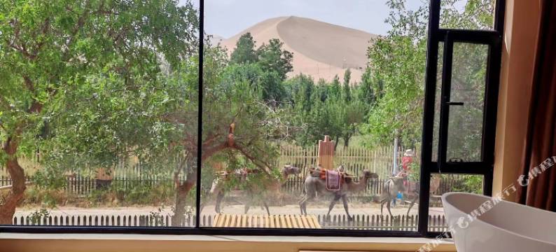 敦煌猎户星座旅馆图片