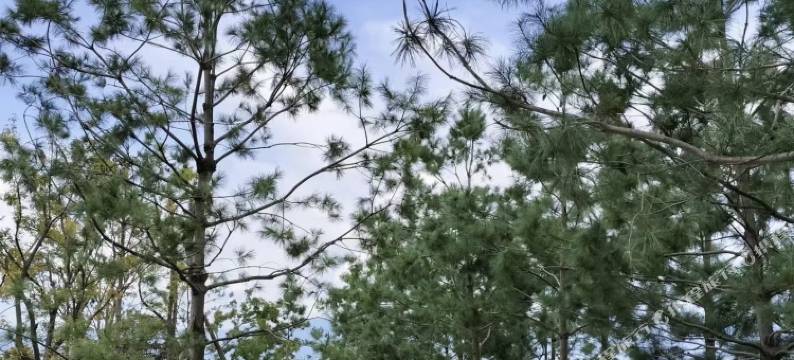 抚仙湖·鹭恋民宿图片