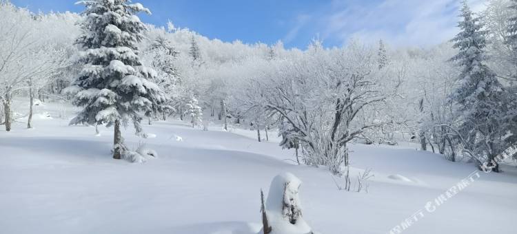 雪谷红军客栈图片