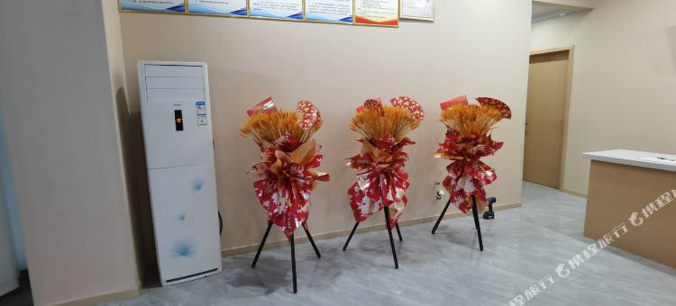 美朵酒店图片