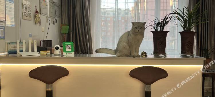 葫芦岛嘉合客栈图片