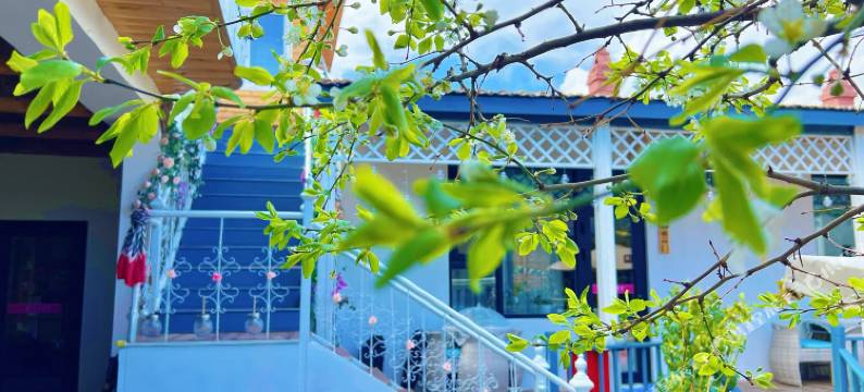 木子别院民宿(特克斯八卦城店)图片