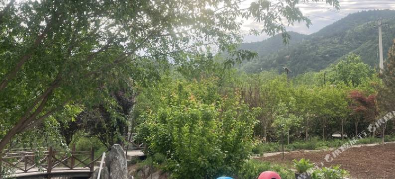 荷塘月色民宿(蓝田荞麦花海店)图片