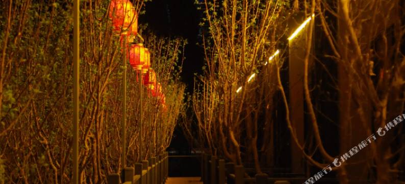 敦煌漠果小筑民宿(莫高窟数字中心店)图片