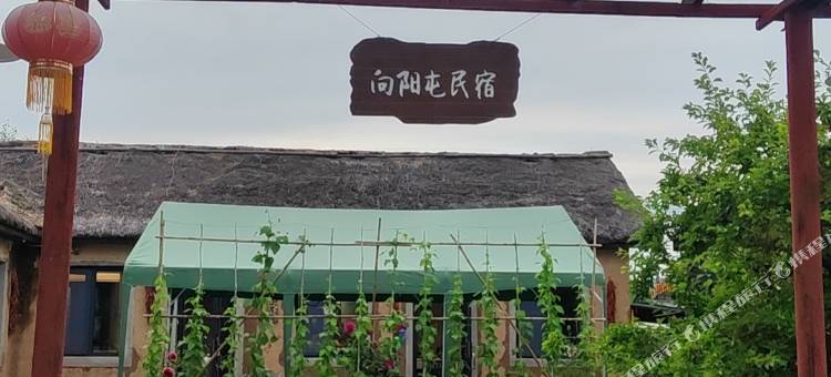 向阳屯民宿图片