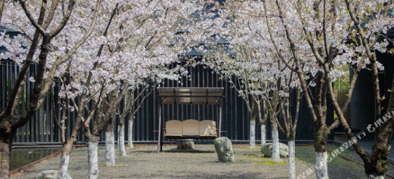 安吉柏翠姚良度假酒店图片