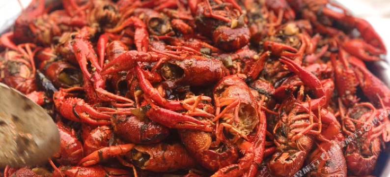 绵阳神鹰民宿图片