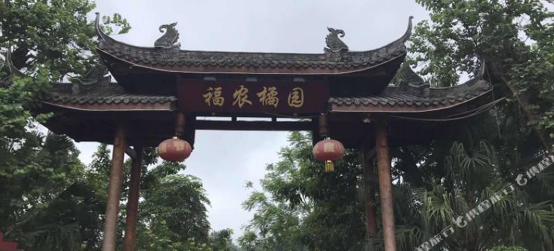 富顺福农橘园生态民宿图片