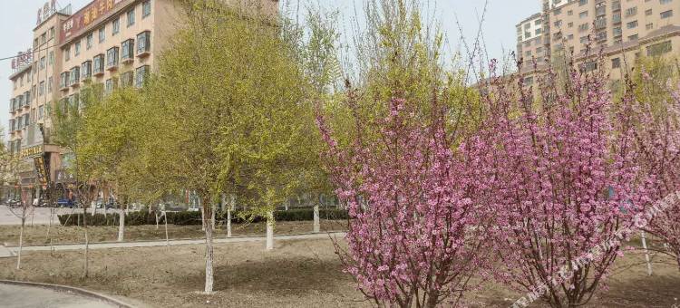 巴楚浙渝大酒店图片