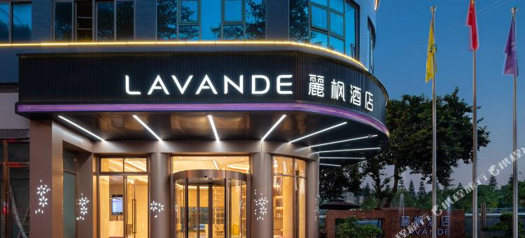 麗枫酒店(东莞大朗松山湖景区店)图片