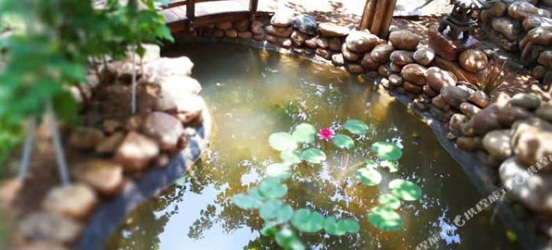 青岛翠林精品民宿图片