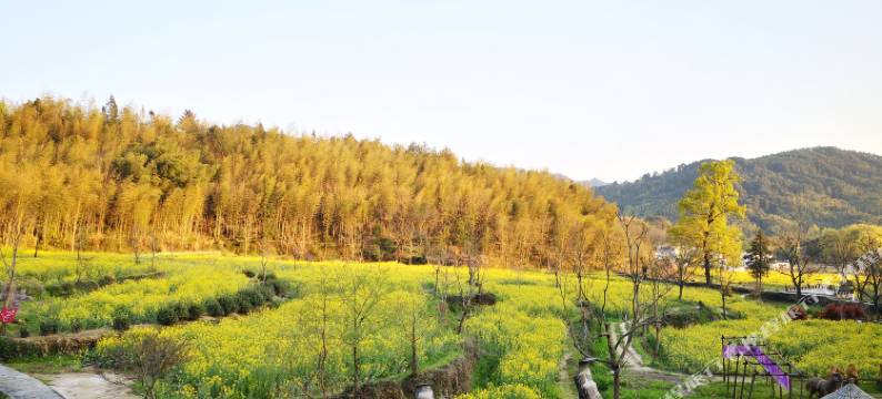 宏村塔川五柳斋图片