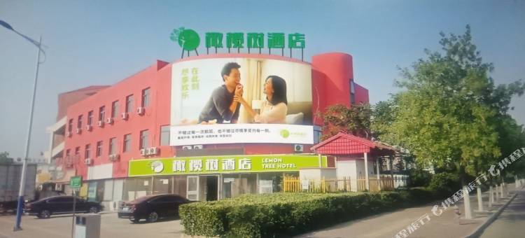 天津橄榄树酒店图片