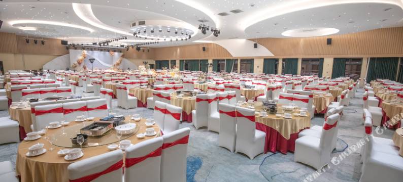 星河大酒店图片