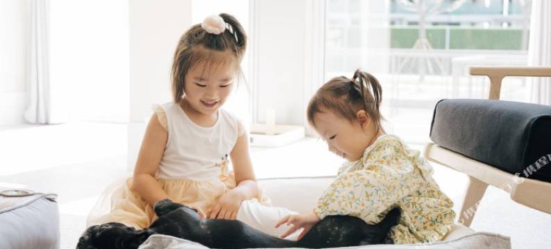 北戴河新区犬舍酒店图片