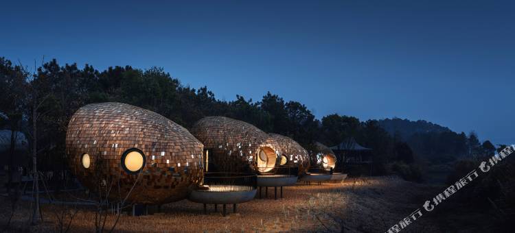 树蛙部落(仙女湖店)图片