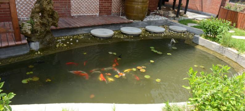 水云间客栈(花果山景区店)图片