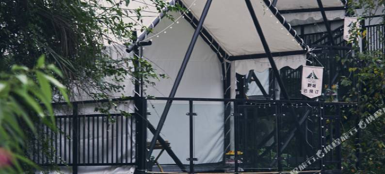 野宿·星空营地图片