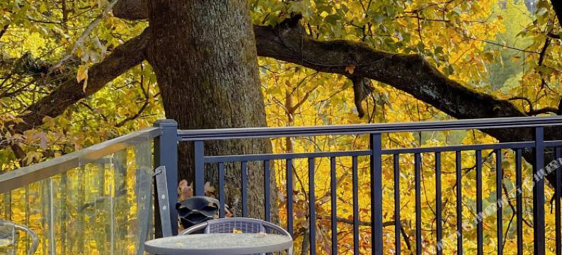 松阳云里听蛙民宿图片