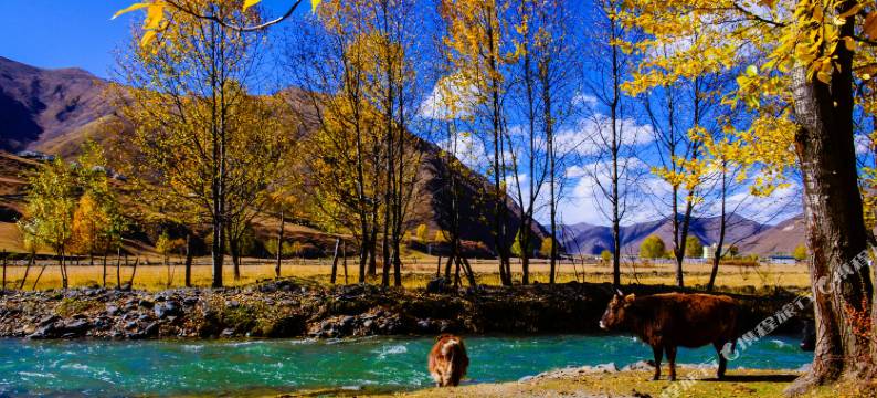 康定印象雅致精品酒店图片