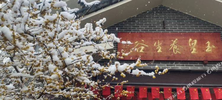 玉皇养生谷图片
