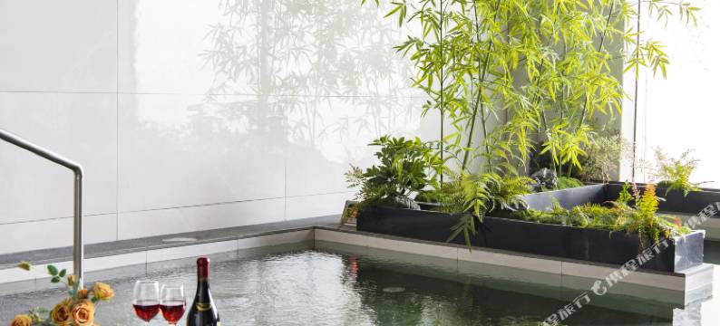 A+东馆温泉酒店图片