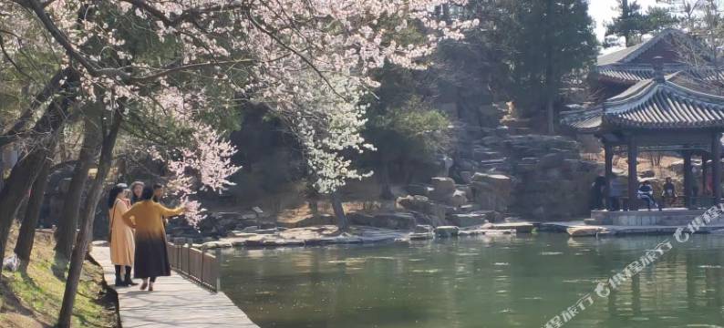 乐港公寓(避暑山庄店)图片