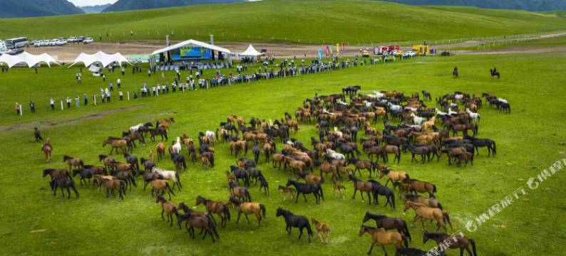 禾盛安居民宿(张掖国家湿地公园店)图片