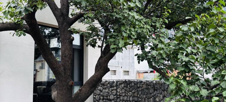 三生有杏民宿(宝泉景区店)图片