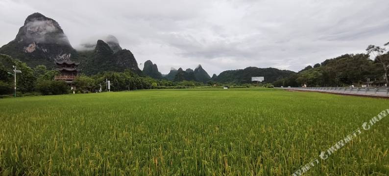 巴马画山民宿图片