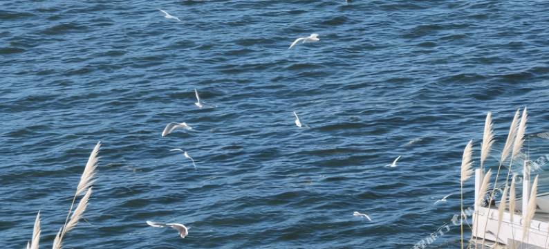 大理雲影春晓·有缘等风来海景度假酒店(双廊洱海店)图片