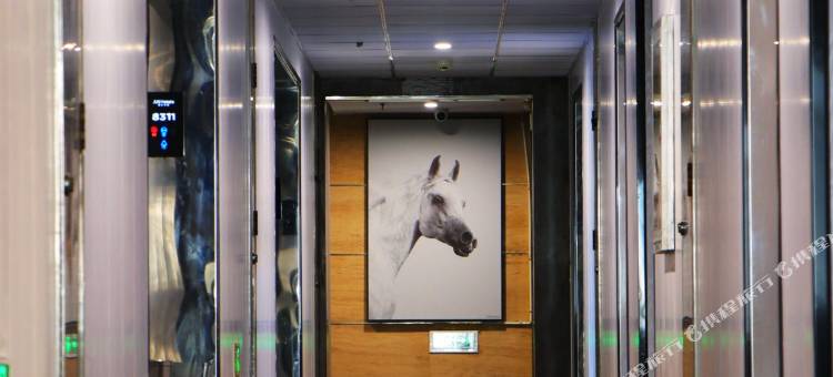 骏怡连锁酒店(连云港通灌路步行街店)图片